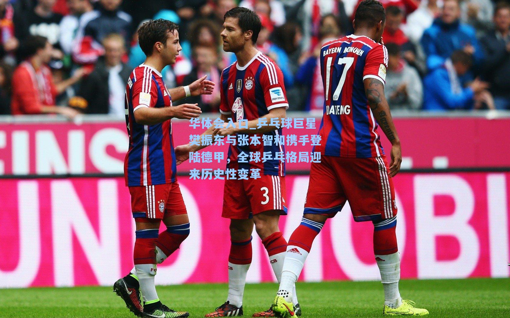 乒乓球巨星樊振东与张本智和携手登陆德甲，全球乒乓格局迎来历史性变革